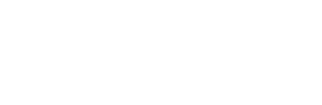 Flare Logo